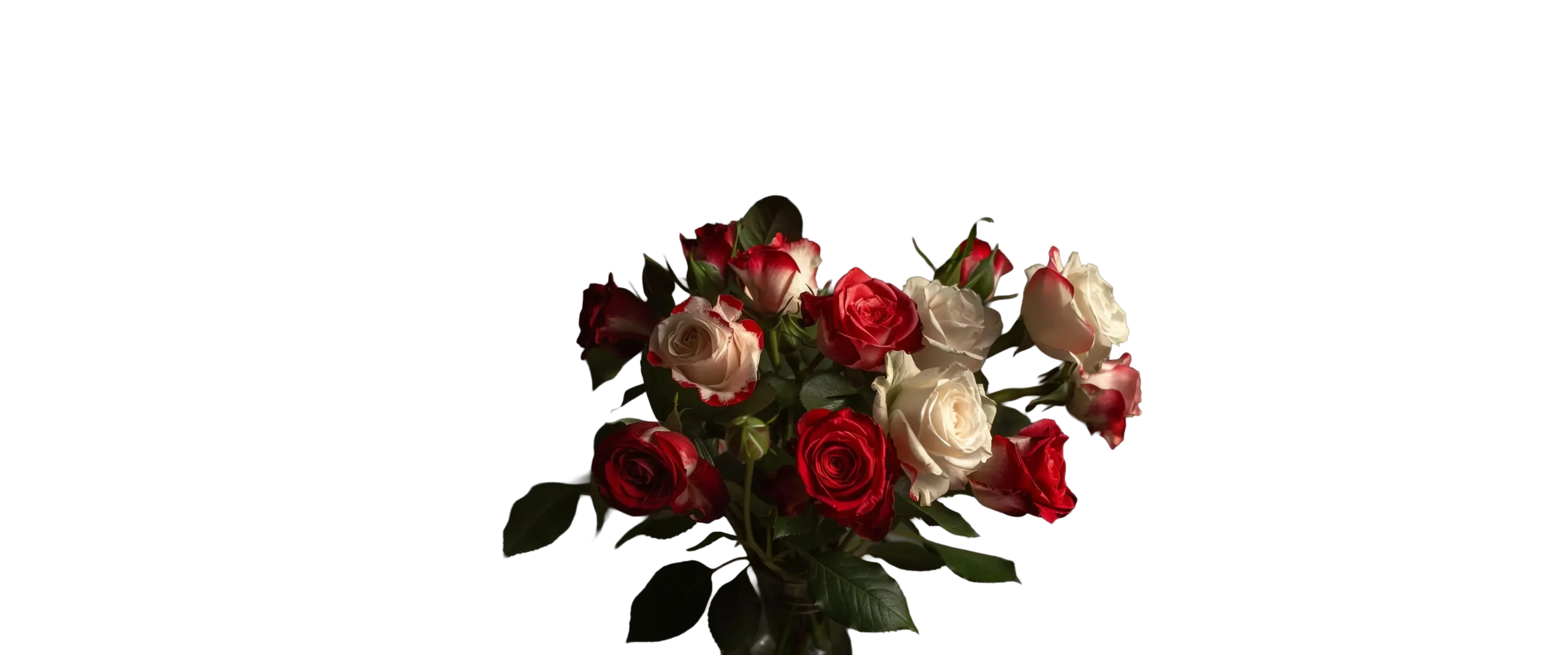 home-roses-2
