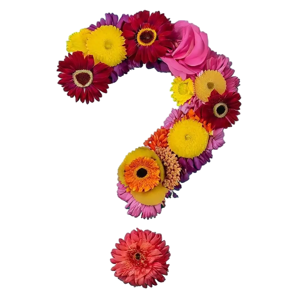 bukiet florysty